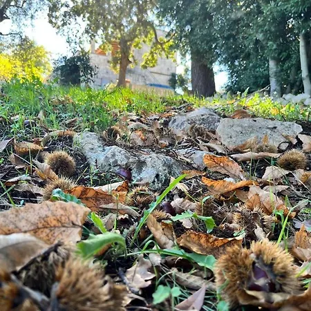 شقة Il Trullo E Il Fortino *