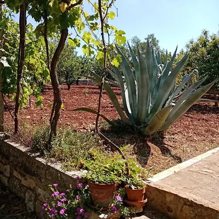 Il Trullo E Il Fortino * Альберобелло