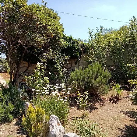 Il Trullo E Il Fortino Αλμπερομπέλο