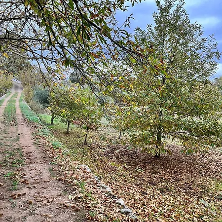 Il Trullo E Il Fortino