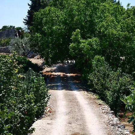 Διαμέρισμα Il Trullo E Il Fortino *