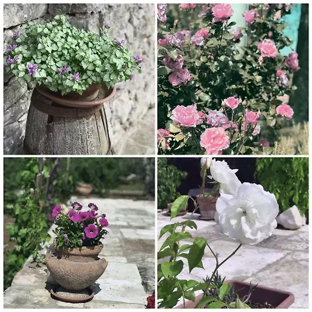 Апартаменты Il Trullo E Il Fortino